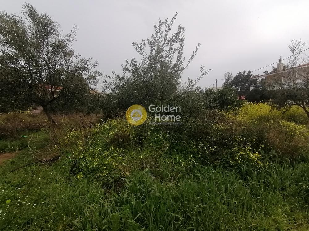 Building Plot in Agios Serafeim, Artemida (Loutsa)