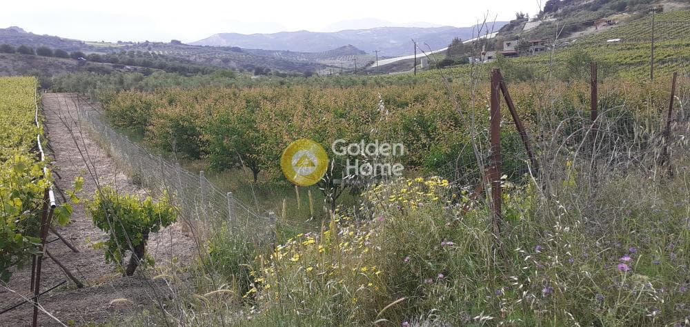 Αγροτεμάχιο στην Κέντρο, Αρχάνες — Φωτογραφία 1 από 9