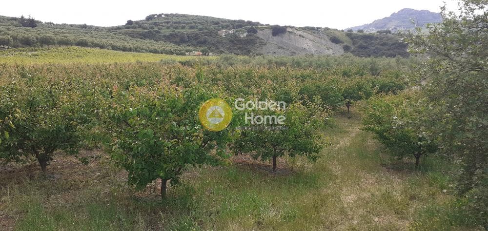 Αγροτεμάχιο στην Κέντρο, Αρχάνες — Φωτογραφία 8 από 9