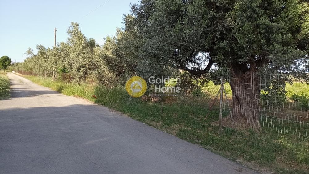 Parcel in Neapoli, Spata — Photo 4 of 6