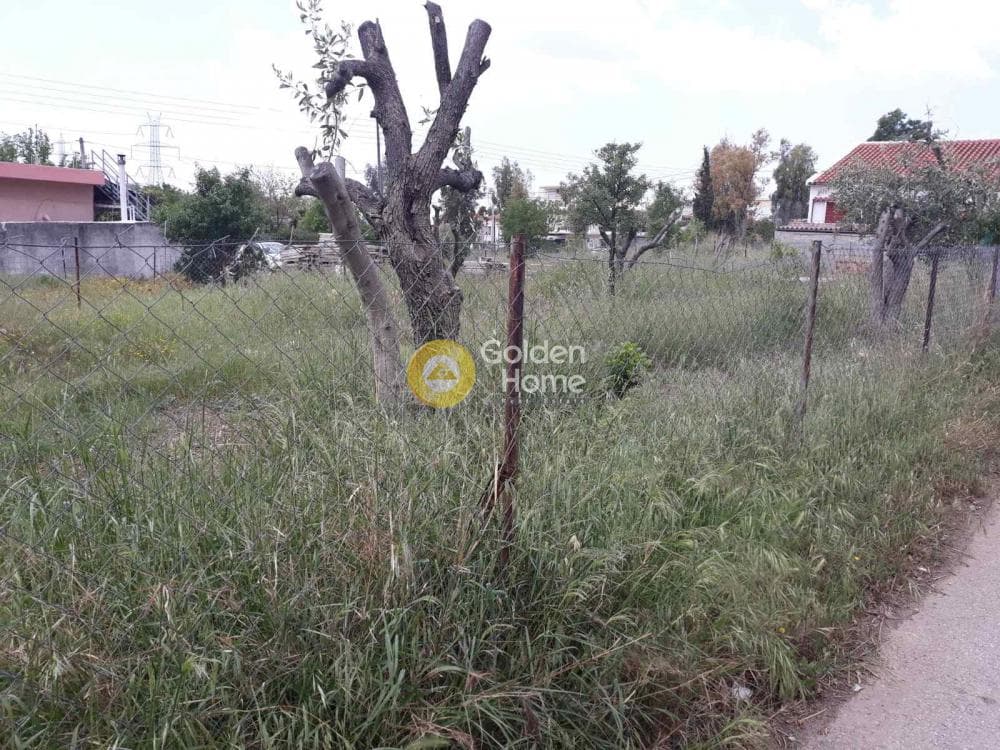 Αγροτεμάχιο στην Μεγάλα Σχοινία Α, Αχαρνές — Φωτογραφία 1 από 5