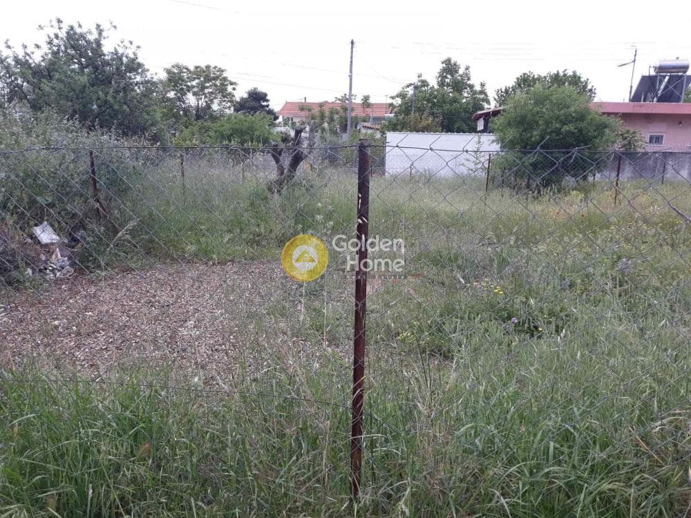 Αγροτεμάχιο στην Μεγάλα Σχοινία Α, Αχαρνές — Φωτογραφία 3 από 5