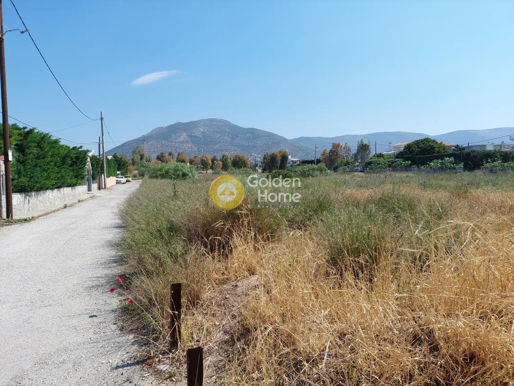 Οικόπεδο στην Πάτημα, Χαλάνδρι — Φωτογραφία 4 από 15