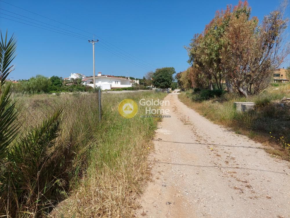 Οικόπεδο στην Πάτημα, Χαλάνδρι — Φωτογραφία 14 από 15