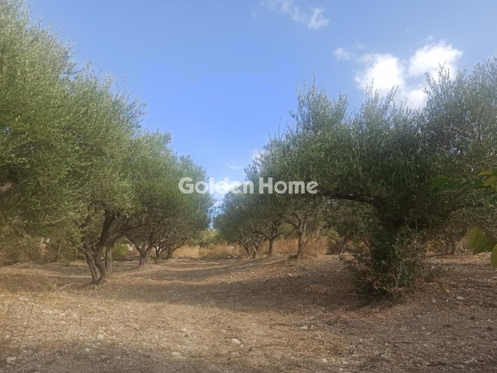 Building Plot in Center, Mallia — Photo 3 of 4