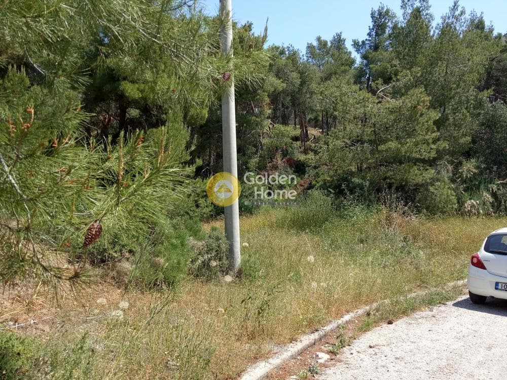 Οικόπεδο στην Δασαμάρι, Πικέρμι — Φωτογραφία 5 από 6