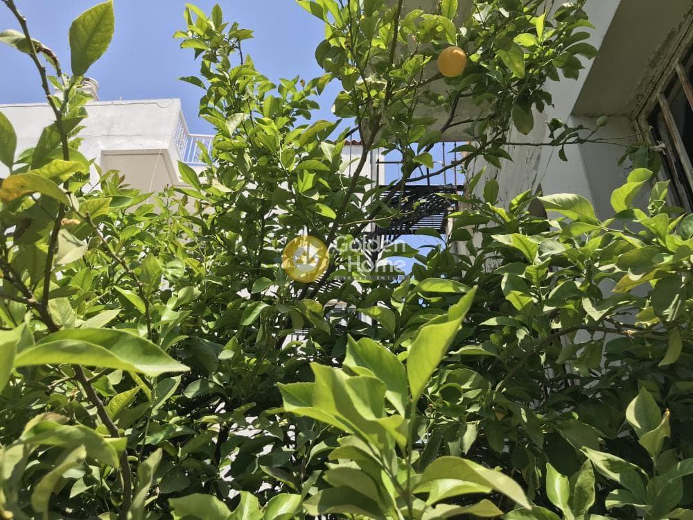 House in Pirgouthi, Acharnes — Photo 16 of 18