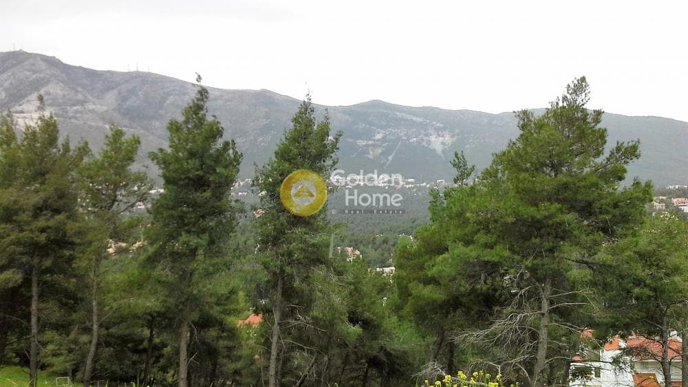 Building Plot in Rodopoli, Rodopoli — Photo 1 of 2