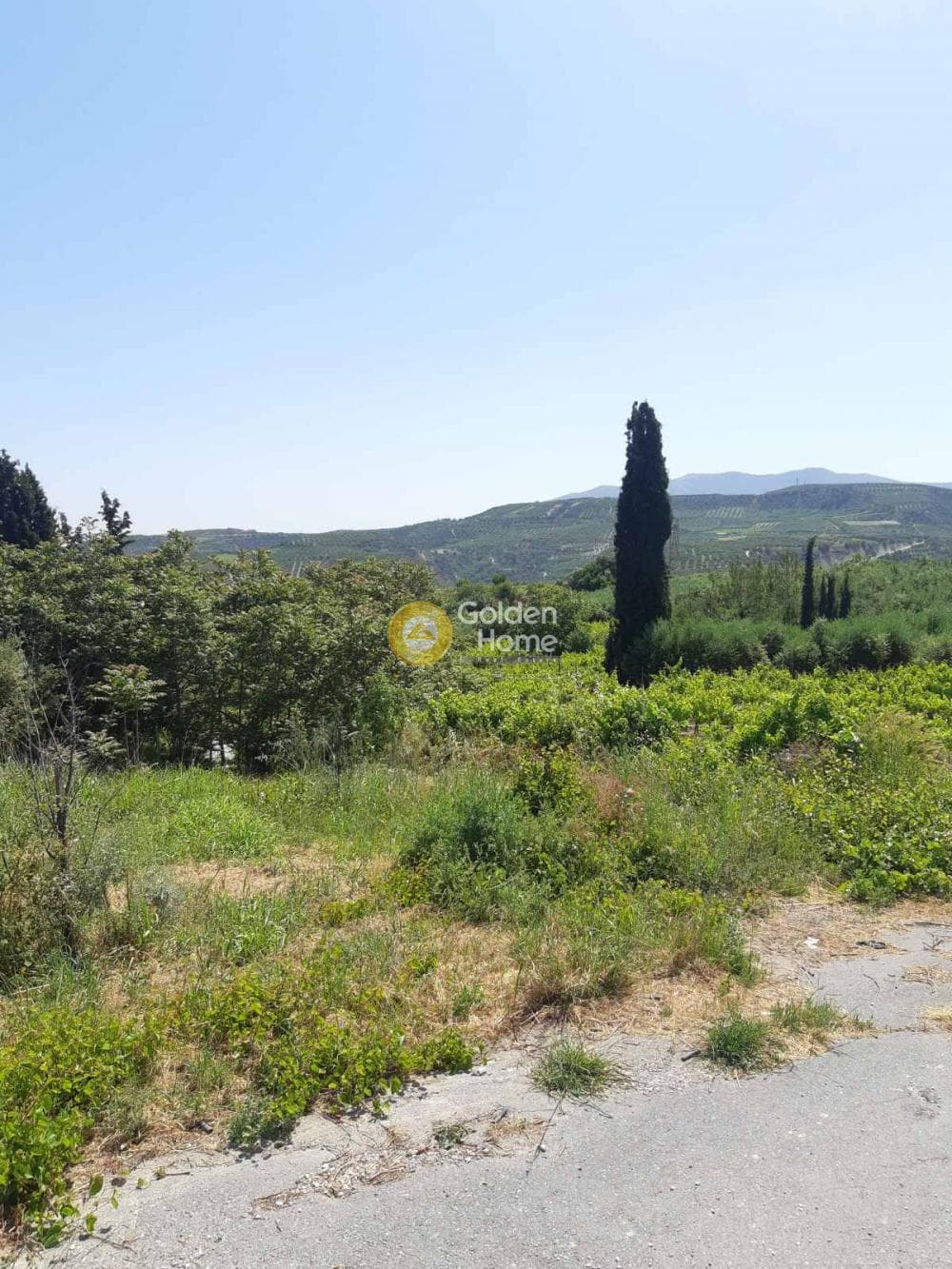 Οικόπεδο στην Γούρνες, Τέμενος — Φωτογραφία 1 από 8