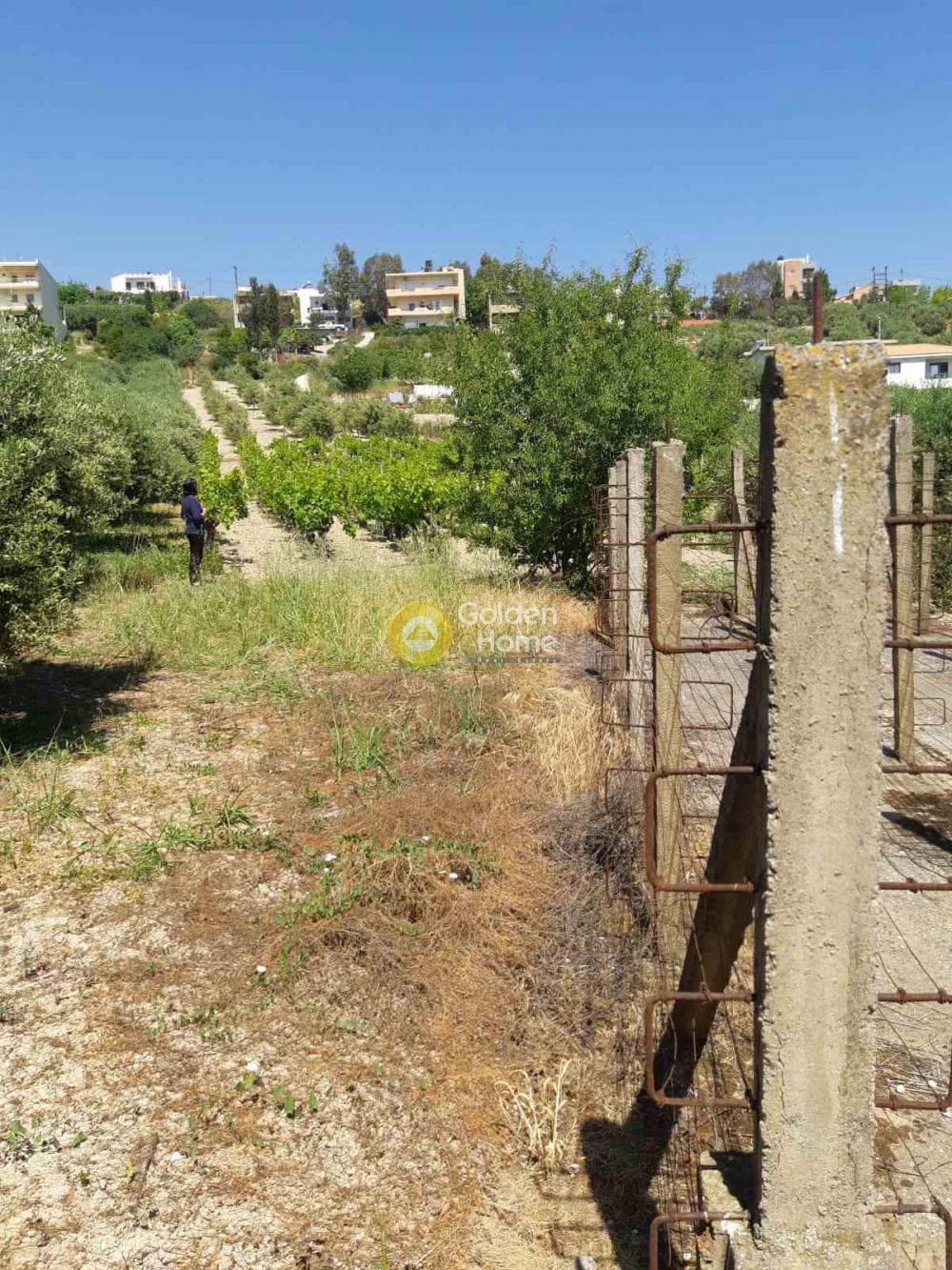 Οικόπεδο στην Γούρνες, Τέμενος — Φωτογραφία 7 από 8
