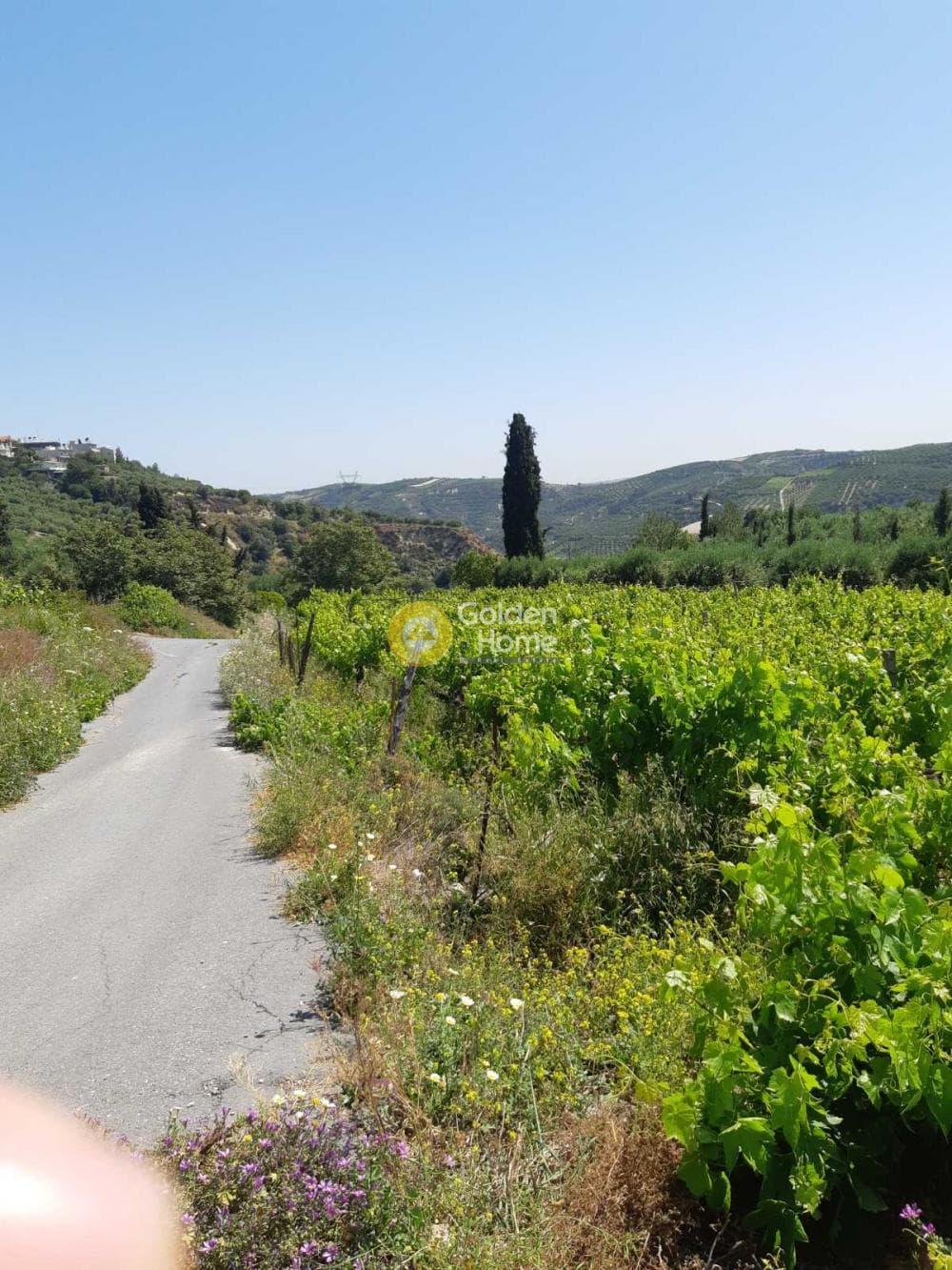Οικόπεδο στην Γούρνες, Τέμενος — Φωτογραφία 8 από 8