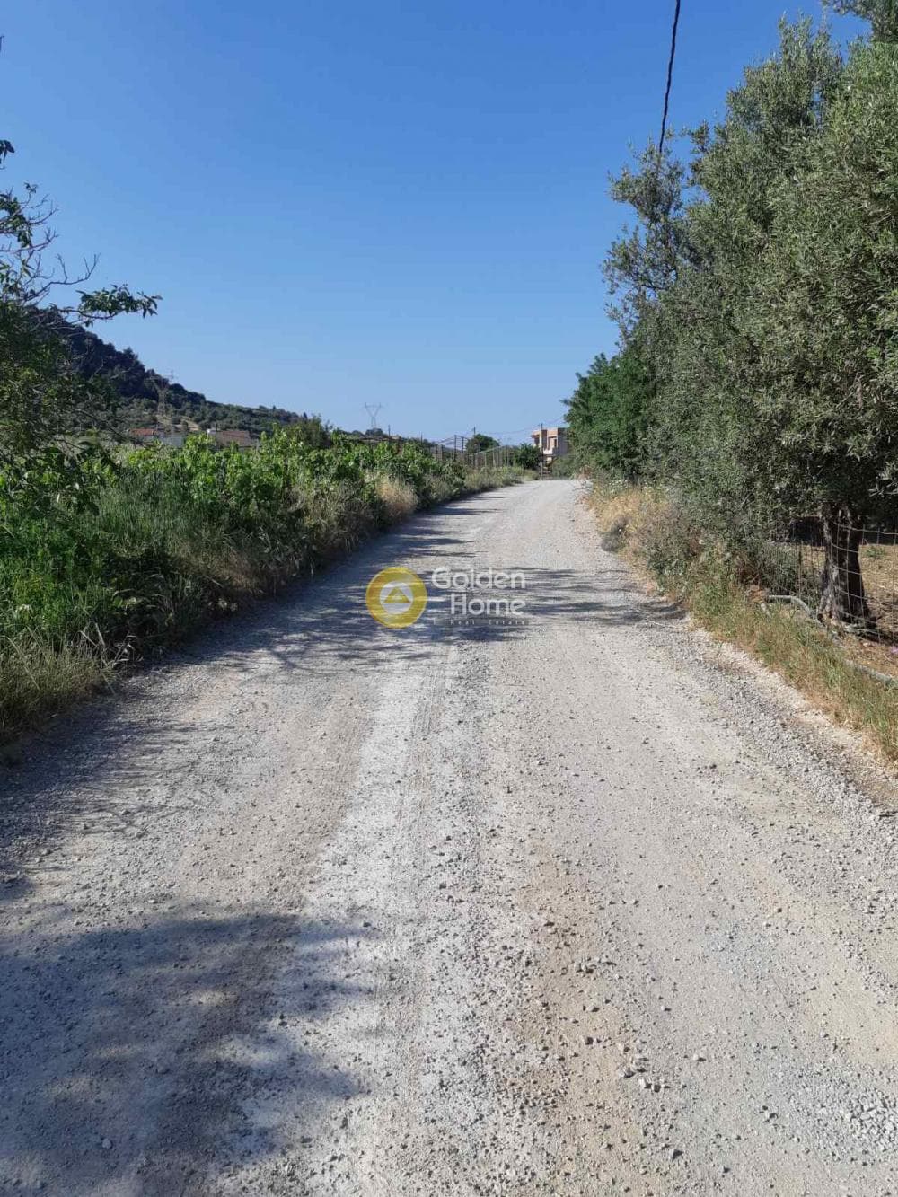 Οικόπεδο στην Αυγενική, Τετραχώρι — Φωτογραφία 1 από 5