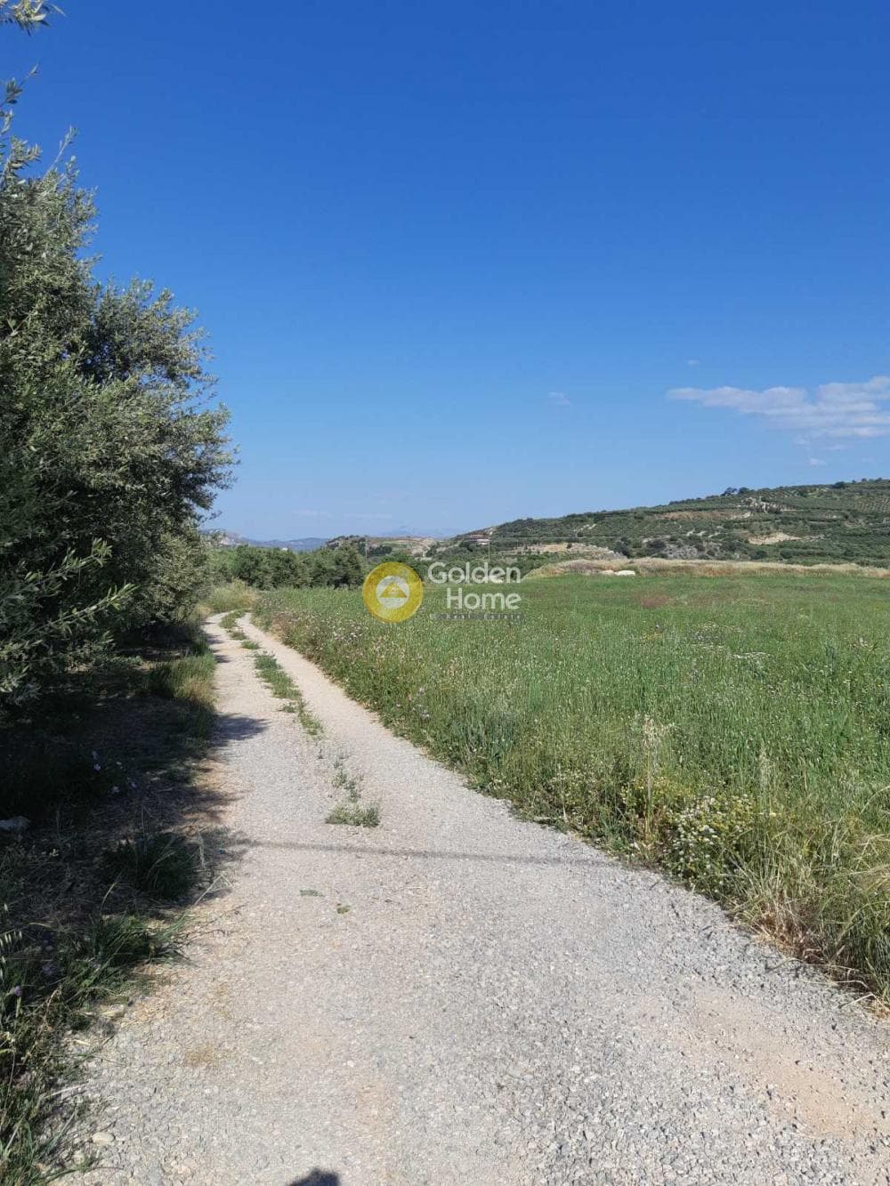 Οικόπεδο στην Αυγενική, Τετραχώρι — Φωτογραφία 3 από 5