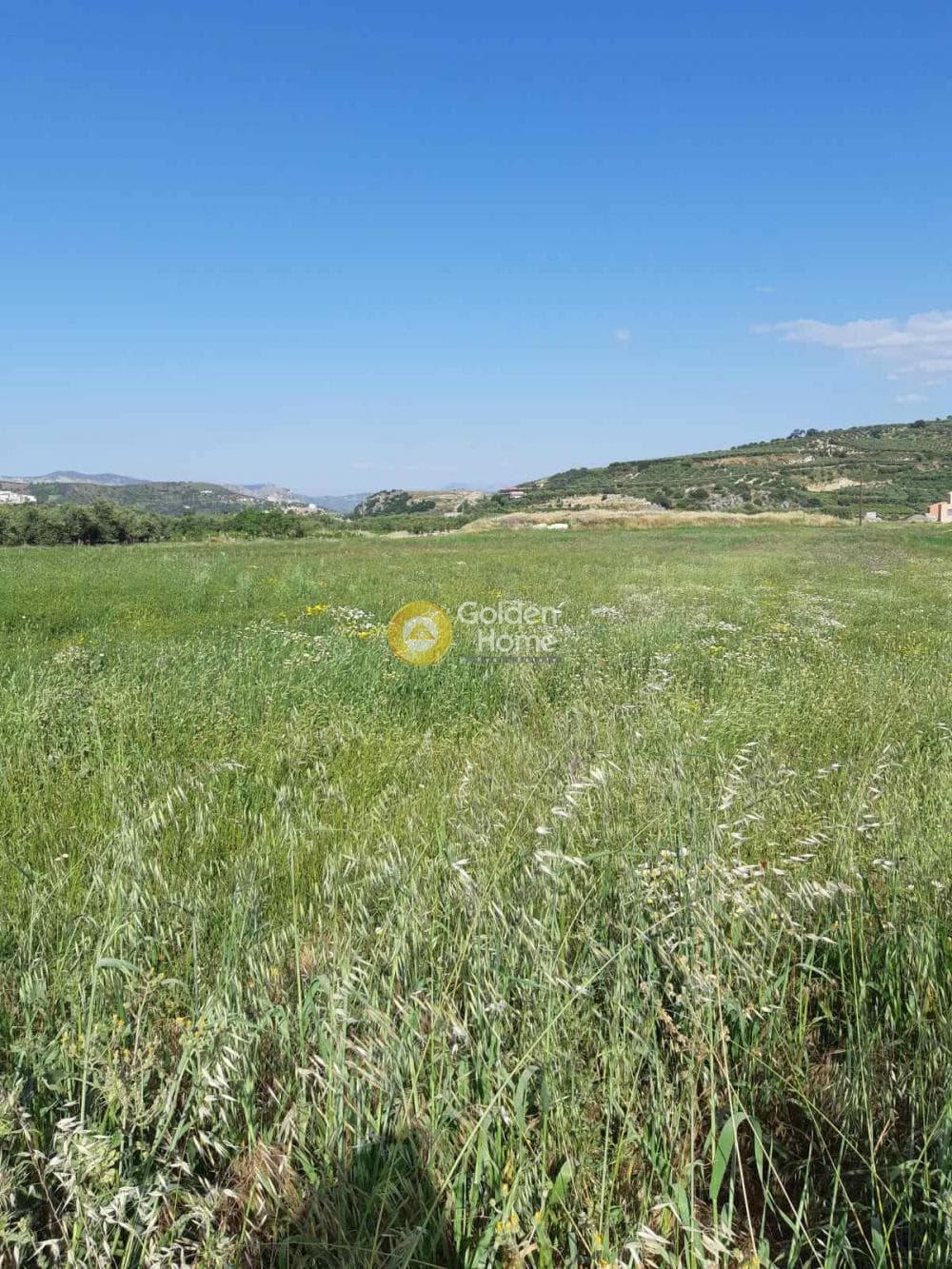 Οικόπεδο στην Αυγενική, Τετραχώρι — Φωτογραφία 2 από 5