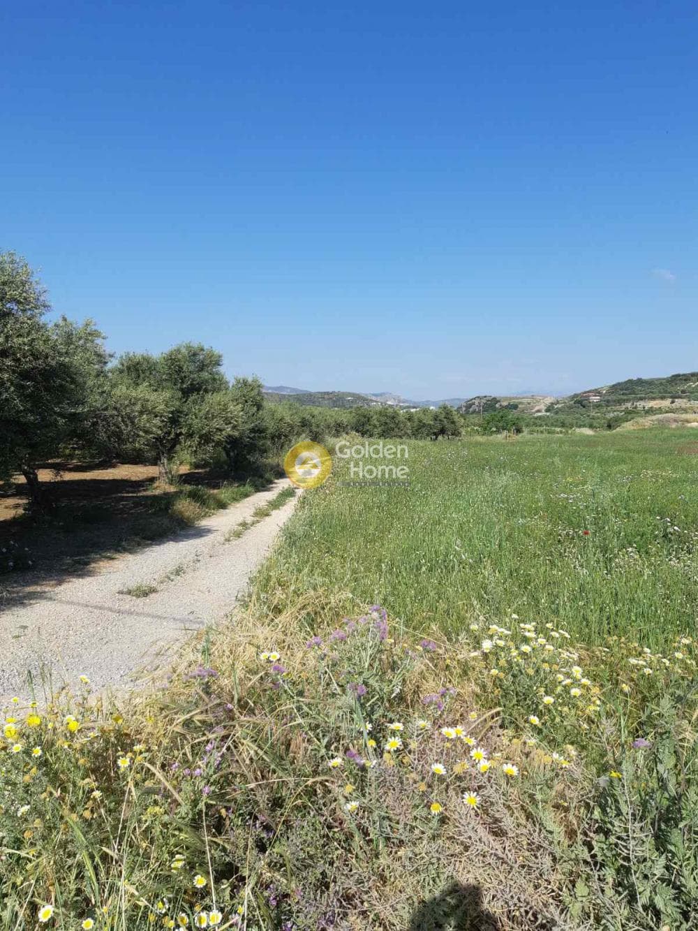 Οικόπεδο στην Αυγενική, Τετραχώρι — Φωτογραφία 5 από 5