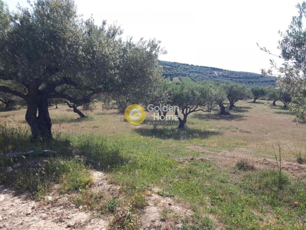 Parcel in Sgourokefali, Episkopi — Photo 1 of 15