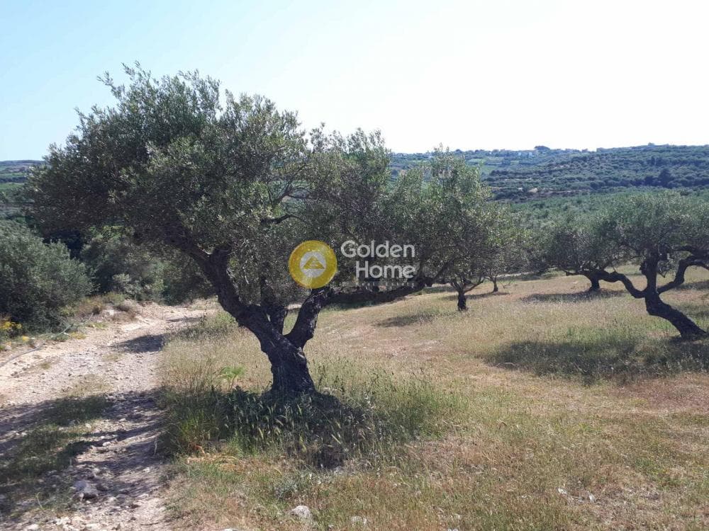 Parcel in Sgourokefali, Episkopi — Photo 2 of 15