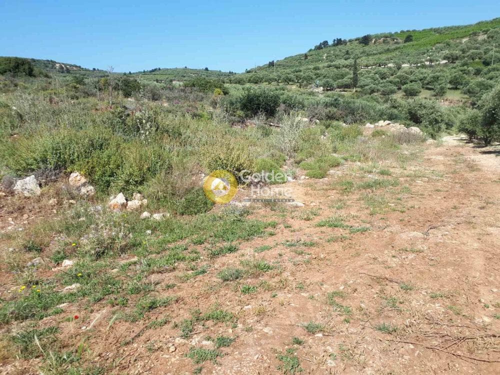 Parcel in Sgourokefali, Episkopi — Photo 13 of 15