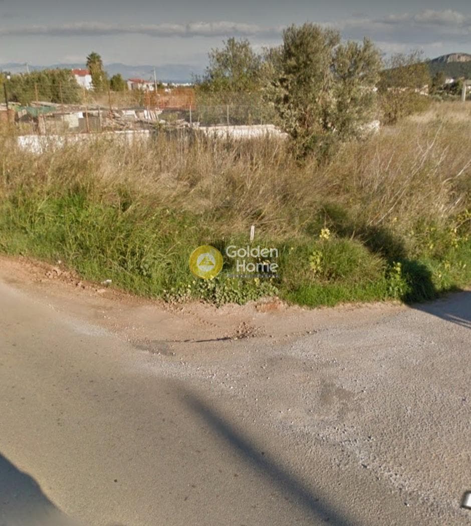 Αγροτεμάχιο στην Κέντρο, Πικέρμι — Φωτογραφία 4 από 5