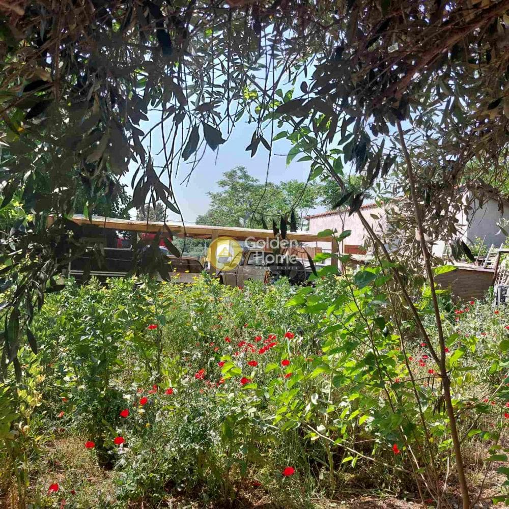 Αγροτεμάχιο στην Αγία Κυριακή, Κηφισιά — Φωτογραφία 8 από 13