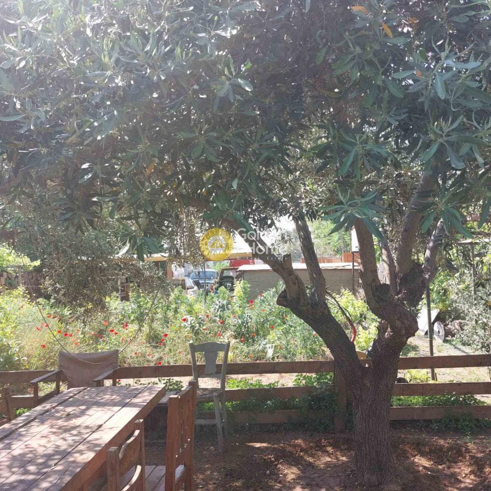 Αγροτεμάχιο στην Αγία Κυριακή, Κηφισιά — Φωτογραφία 4 από 13