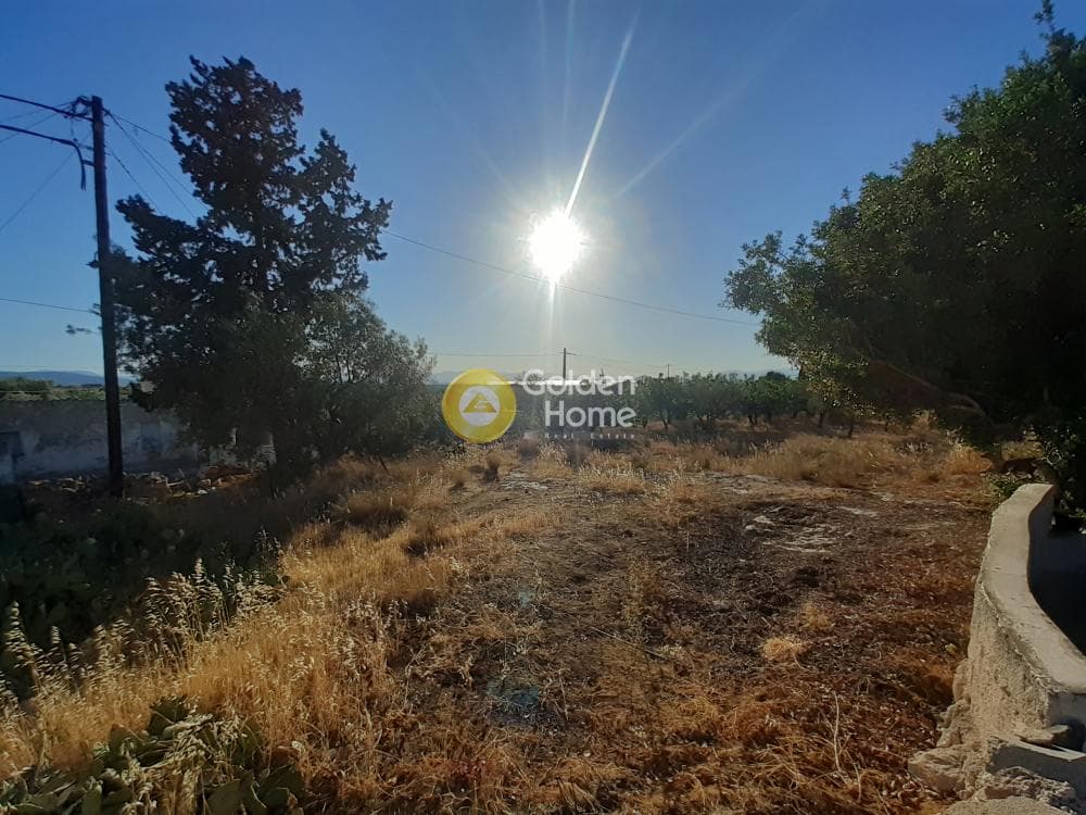 Building Plot in Kipseli, Aegina — Photo 1 of 3