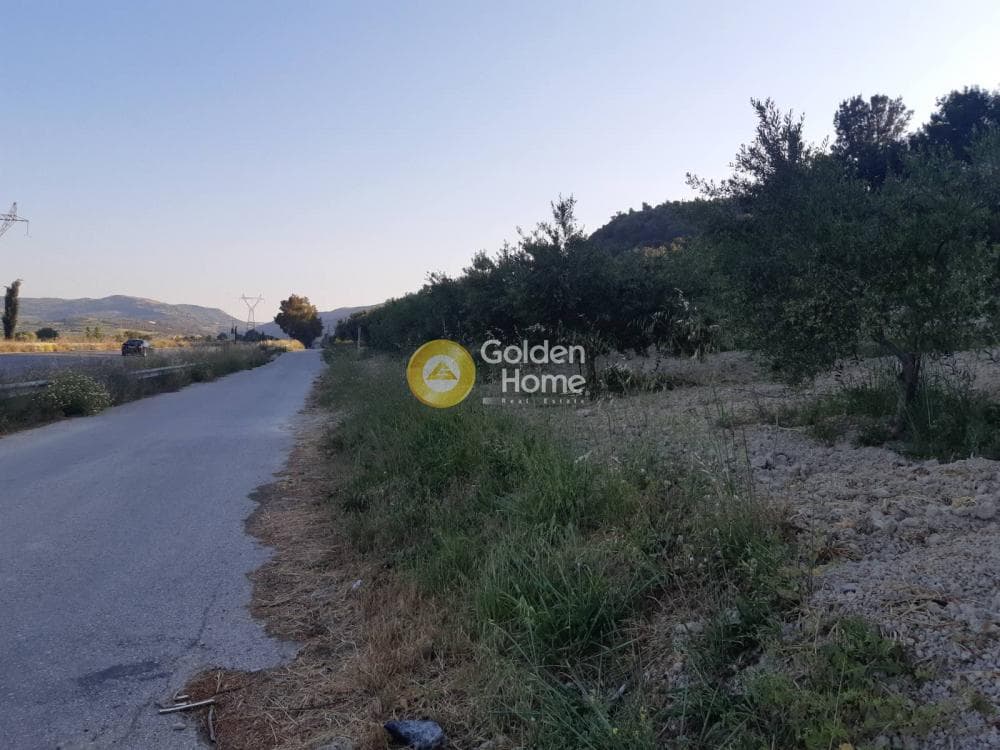 Αγροτεμάχιο στην Σίβα, Τετραχώρι — Φωτογραφία 5 από 8