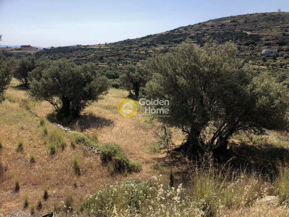 Αγροτεμάχιο στην Λεύκες, Πάρος — Φωτογραφία 1 από 2
