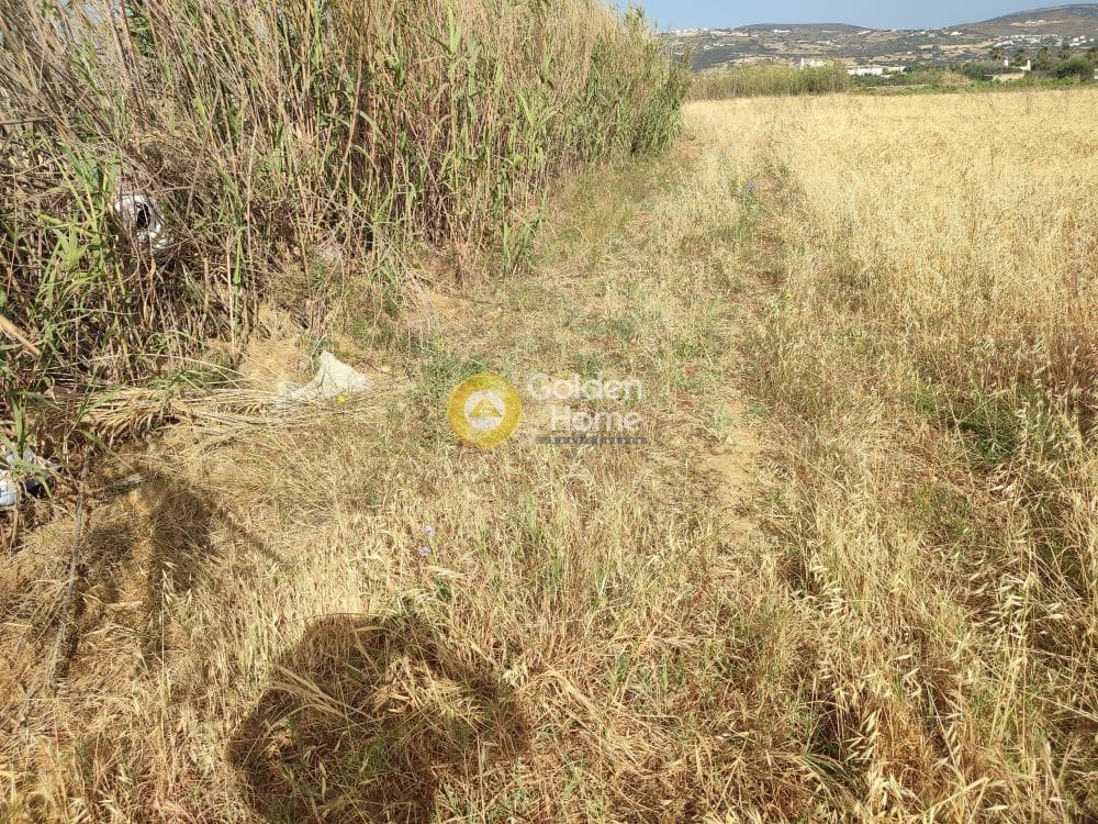 Parcel in Glifades, Paros — Photo 2 of 2