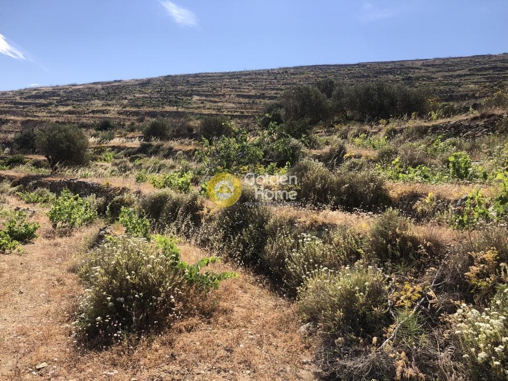 Αγροτεμάχιο στην Μαράθι, Πάρος — Φωτογραφία 9 από 15