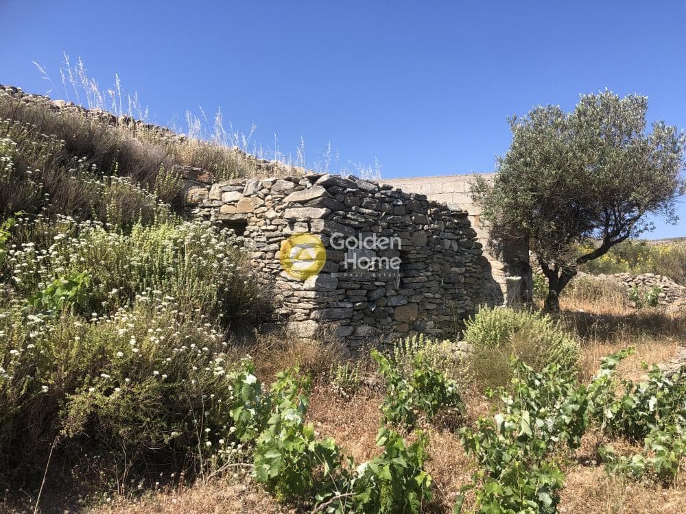 Αγροτεμάχιο στην Μαράθι, Πάρος — Φωτογραφία 10 από 15