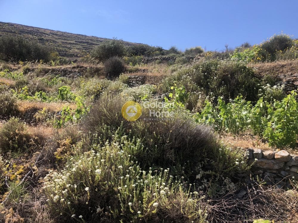 Αγροτεμάχιο στην Μαράθι, Πάρος — Φωτογραφία 11 από 15