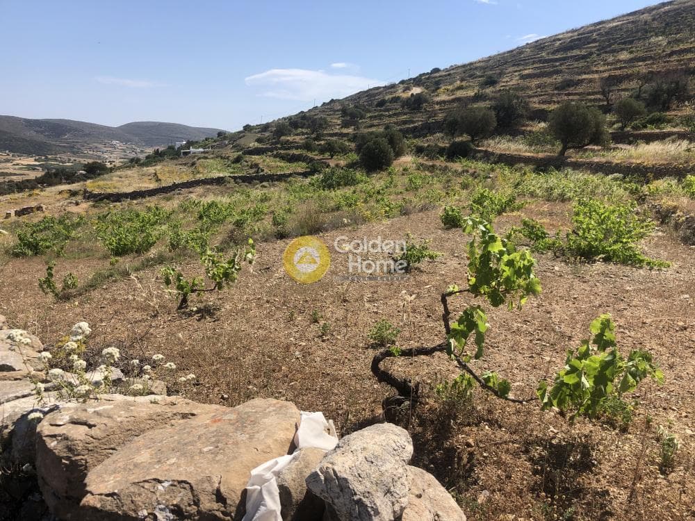Αγροτεμάχιο στην Μαράθι, Πάρος — Φωτογραφία 12 από 15