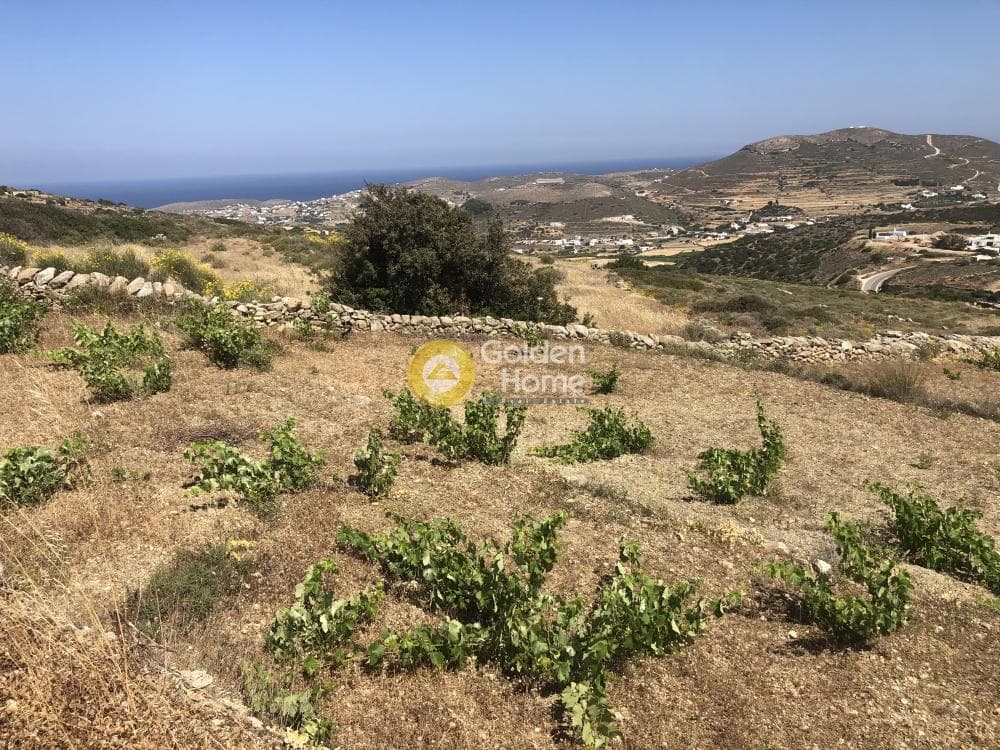 Αγροτεμάχιο στην Μαράθι, Πάρος — Φωτογραφία 14 από 15