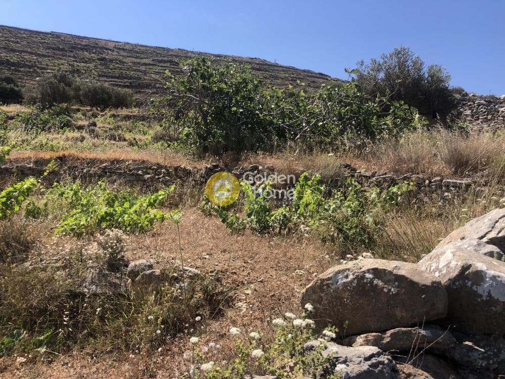Αγροτεμάχιο στην Μαράθι, Πάρος — Φωτογραφία 15 από 15