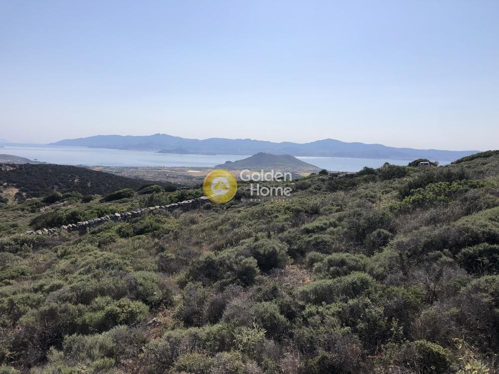 Αγροτεμάχιο στην Λεύκες, Πάρος — Φωτογραφία 3 από 4
