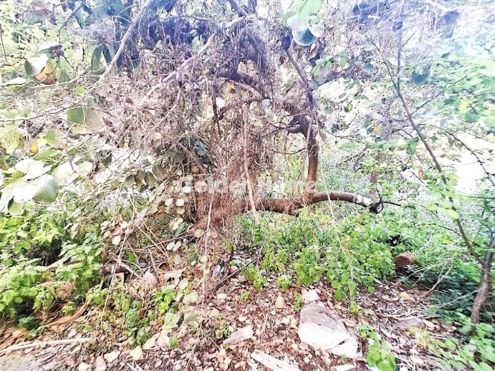 Building Plot in Polikatikies, Agia Varvara — Photo 5 of 5