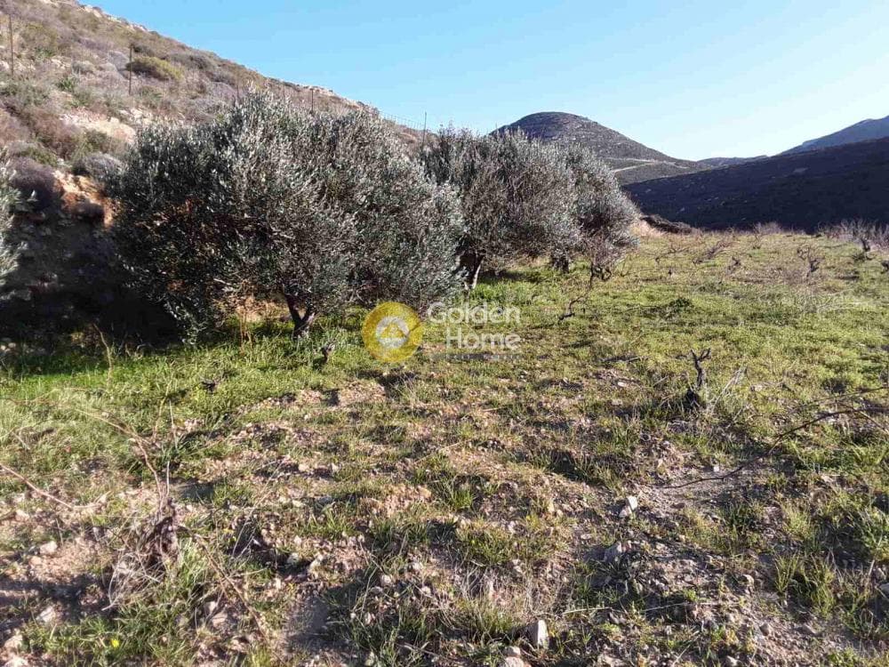 Building Plot in Akrotiri, Naxos — Photo 5 of 8