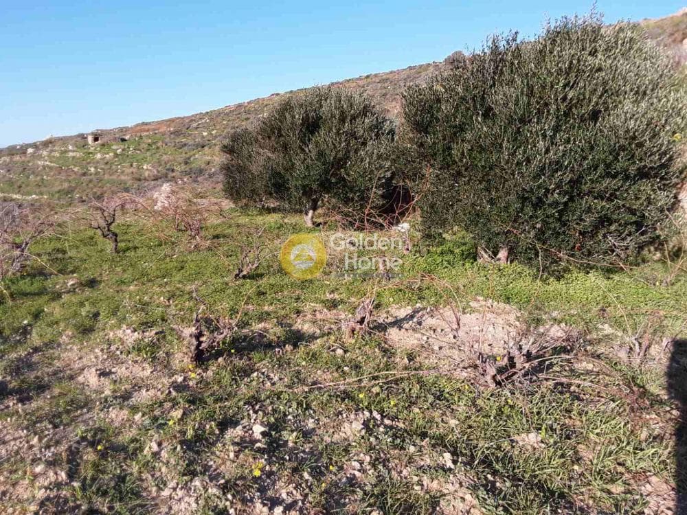 Building Plot in Akrotiri, Naxos — Photo 4 of 8