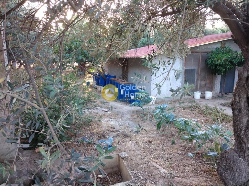Warehouse in Megala Sxoinia A, Acharnes — Photo 3 of 5
