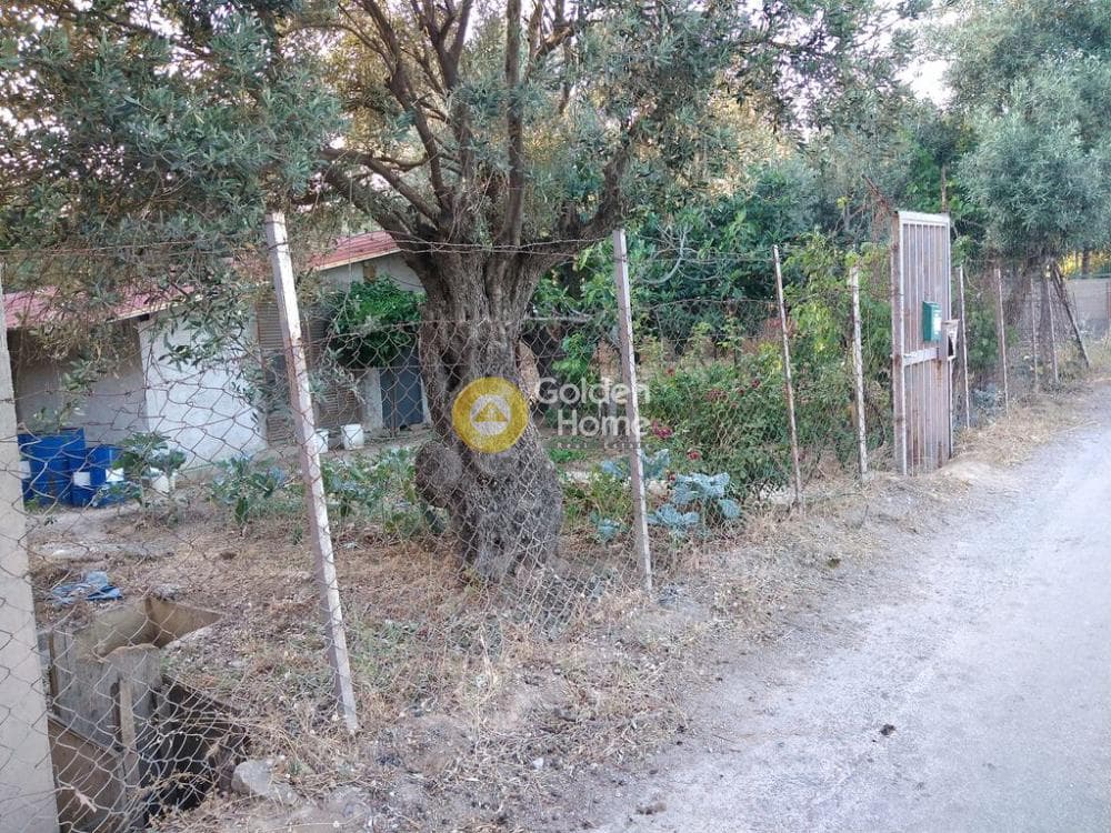 Warehouse in Megala Sxoinia A, Acharnes — Photo 4 of 5