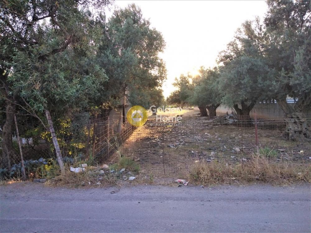 Αγροτεμάχιο στην Μεγάλα Σχοινία Α, Αχαρνές — Φωτογραφία 1 από 10
