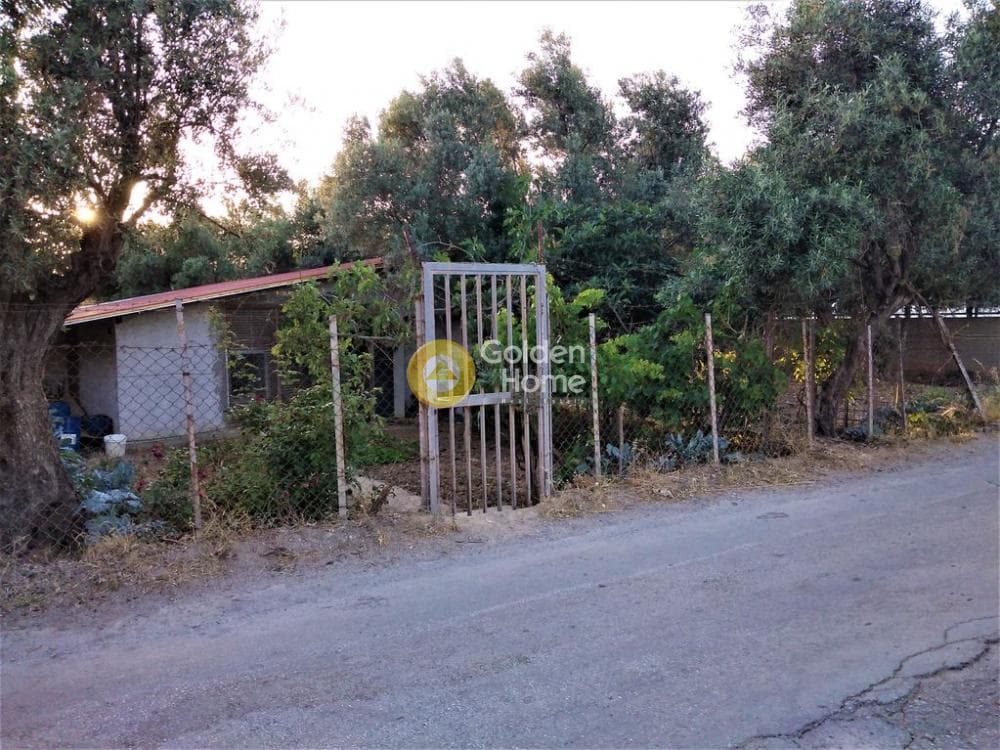 Αγροτεμάχιο στην Μεγάλα Σχοινία Α, Αχαρνές — Φωτογραφία 7 από 10