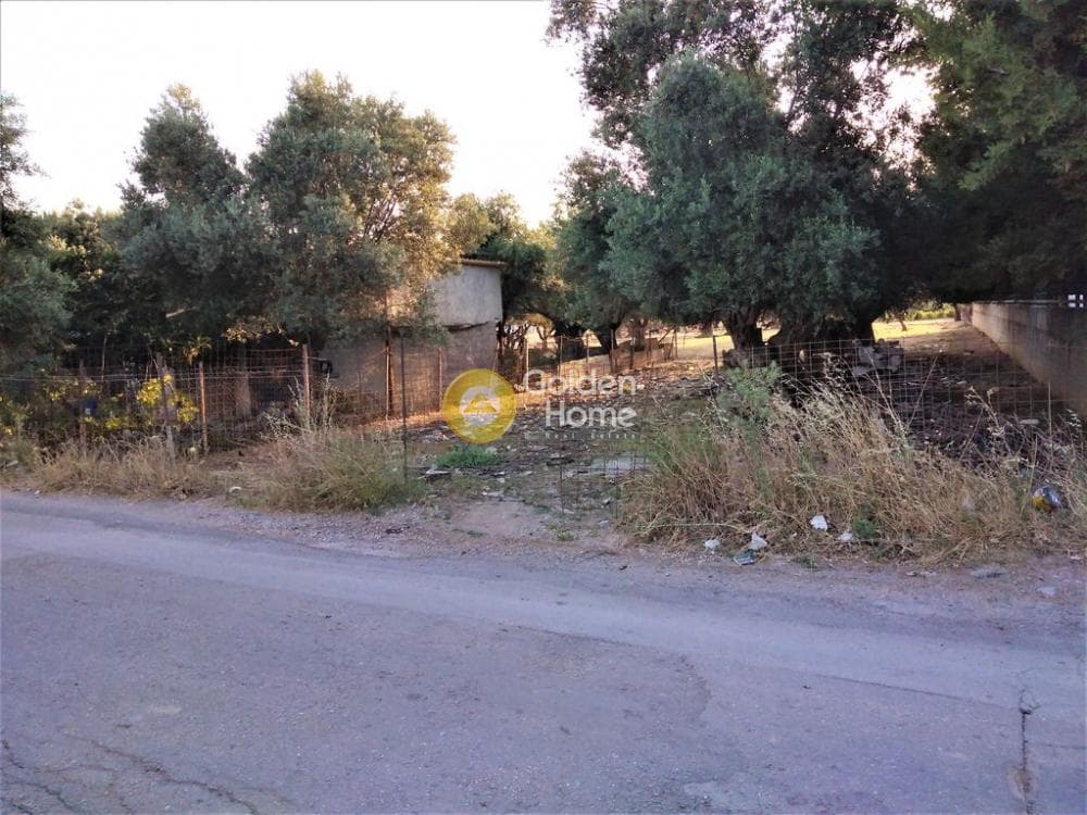 Αγροτεμάχιο στην Μεγάλα Σχοινία Α, Αχαρνές — Φωτογραφία 4 από 10