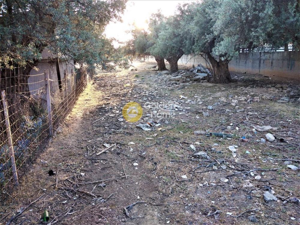 Αγροτεμάχιο στην Μεγάλα Σχοινία Α, Αχαρνές — Φωτογραφία 6 από 10