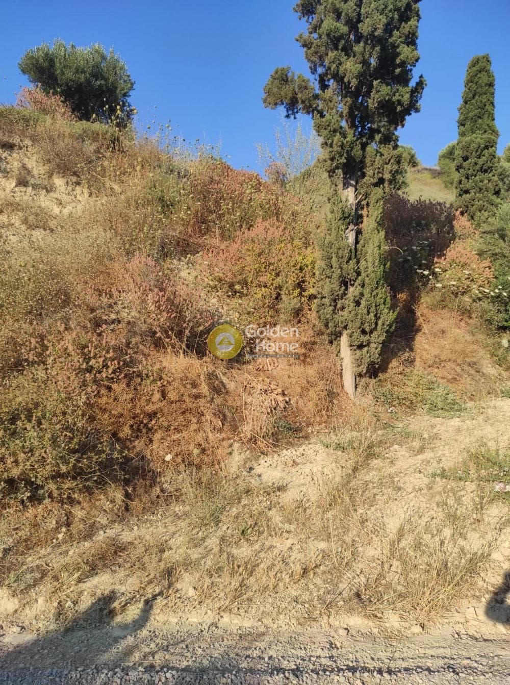 Parcel in Skalani, Episkopi — Photo 3 of 4