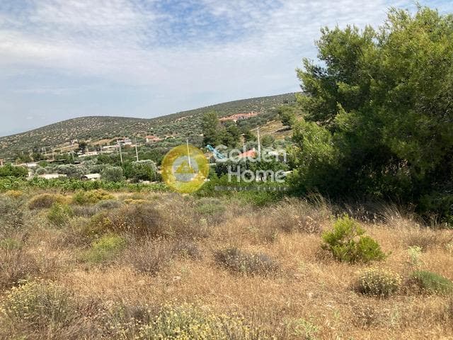 Αγροτεμάχιο στην Βραυρώνα, Βραυρώνα — Φωτογραφία 3 από 11