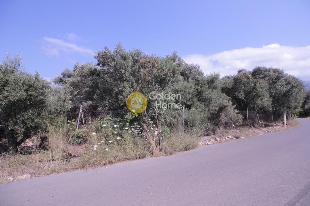 Οικόπεδο στην Μονή Αγίου Ιωάννου Θεολόγου, Γούβες — Φωτογραφία 3 από 15