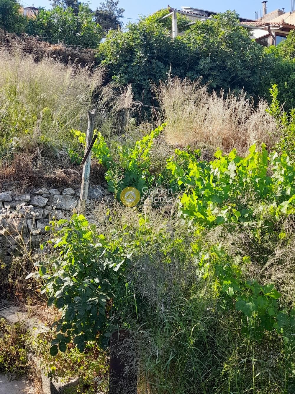 Οικόπεδο στην Επάνω Αρχάνες, Αρχάνες — Φωτογραφία 1 από 4