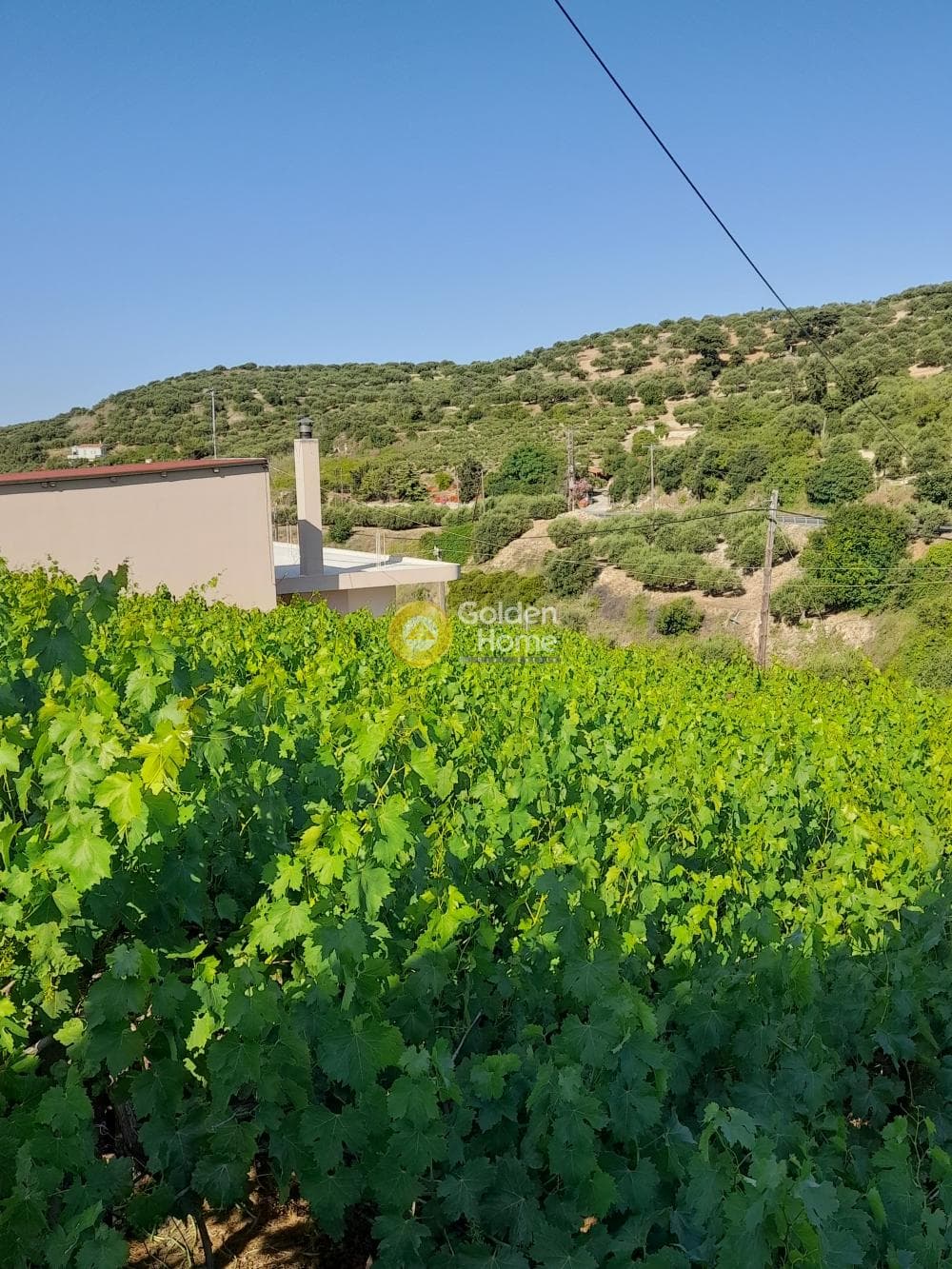 Οικόπεδο στην Επάνω Αρχάνες, Αρχάνες — Φωτογραφία 3 από 4